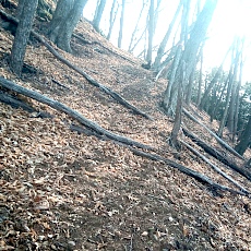 230414_p10.jpg