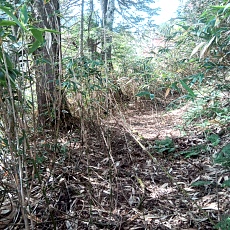 241022_p15.jpg