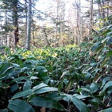 241112_p16.jpg