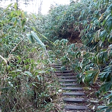 240530_p22.jpg